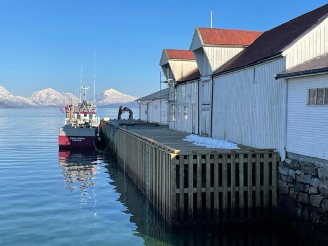 1. Etg I Dampskipsbrygga, Lodingen Havn Extérieur photo
